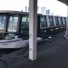 隅田川cruise&浅草羽子板市