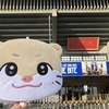 NEXZ武道館ライブ！ 夕食の牛丼とサラダを作って出発