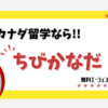 【無料の留学エージェント!?】 カナダに留学するなら『ちびかなだ』を知っておこう👍