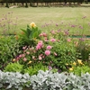 フォンテーヌブローの花壇