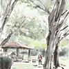 公園でスケッチ会