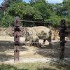 #上野動物園#アルン