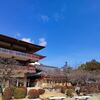 青空が広がると…