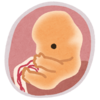 妊娠記録#4 : ヒトの形にびっくり！