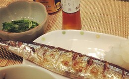 記事を見る