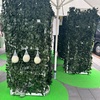 都会のメロン狩りをする