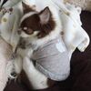 簡単更新♪