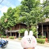 ルアンパバーンをゆる～く流れるもう一つの川”ナムカン川”沿いをゆっくり散歩してみた