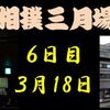 春場所６日目の８番と最高点の予想はこちら