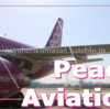 【LCC】1st Peach Aviation