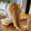 本日の朝食会場は愛猫に囲まれて。