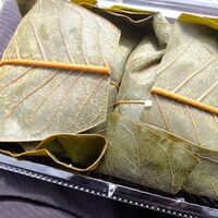 🏯 お城クイズ　今年２城目