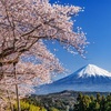 2回目30kmトレイル、無事完走🏔✨