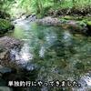 【単独釣行】梅雨の合間に、渓流ベイトフィネスとおつかいに行ってきた！