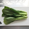 【料理の手間】葉物野菜の切り方を変えてみたらやりやすくなりました〜♪