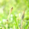 3月の星の動き☆彡