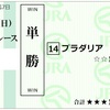 神戸新聞杯は負け、体力付けないと。