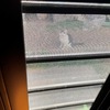 ノラネコブログとなりつつある当ブログ。貫禄ありみーちゃんにピンボケ保護ネコ君。文鳥の羊羹。