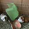 時差ボケ