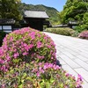 つづし咲く旧山口藩庁門