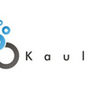 SSP「Kauli」プライベート取引への対応強化～PMPをはじめとしたプログラマティック広告販売へ