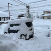 本来ならば成人式…。