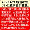 5G電磁波を廃止せよ！（テロ政府へ告ぐ！）