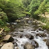 伊豆キャン① 河津七滝オートキャンプ場【静岡県】