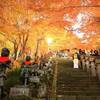 【2024年】大山の紅葉見頃の時期｜神奈川県の人気紅葉名所「大山寺」と「大山阿夫利神社下社」ライトアップと混雑状況（神奈川県伊勢原市）