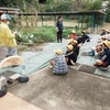 稲刈りをしました。