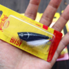 【ストライクキング】虫パターンでも活躍する小型ポッパー「ビッツィースプラッシュ」通販サイト入荷！