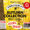 ici club 神田 Autumn Collection 2016 DMラフ案