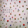 静岡市美術館「英国王室が愛した花々」展