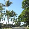 ＭＡＵＩの旅９