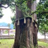 【べにや無何有】宿泊記⑨