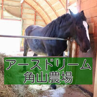 アースドリーム角山農場の室内遊び場 ドリームランド子どもの国 で1日遊び放題 江別市 キタログ