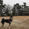 津の偕楽公園なの