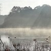 袖ケ浦公園 寒い朝