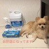 ポメラニアンの臭いが気になる…