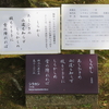 万葉歌碑を訪ねて（その１１３０）―奈良市春日野町　春日大社神苑萬葉植物園（９０）―万葉集　巻十　二三一五