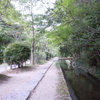 ぶらり京都(2) 哲学の道〜銀閣寺