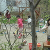 ４月の助産院の風景