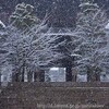 金戒光明寺（黒谷さん）