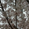 今週末の良かったこと