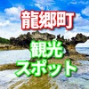 鹿児島県龍郷町のふるさと納税はドラゴンフルーツ 奄美黒糖焼酎　ネイティブシー奄美内「レストランforest」コースお食事券1名　うなぎ蒲焼が人気のようです。　観光についてシェア