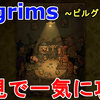 【Pilgrims】全クリ目指して、初見で一気に攻略完了！無事に全クリ！全実績45個も解除達成！プレイした感想をご紹介！【ピルグリム/アドベンチャーゲーム】