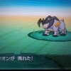 【アシストモード】第15回【テラキオン捕獲】準伝説ポケモン全部ゲット！