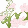  桜の季節到来