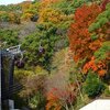 神々の紅葉！神戸布引ハーブ園＆レストラン「ハーブダイニング」