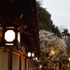 八坂神社の梅が見ごろ【2015年3月6日撮影】